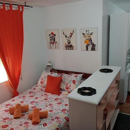 Apartamento Con Encanto 'Larios Studio' Apartamento Málaga Exterior foto